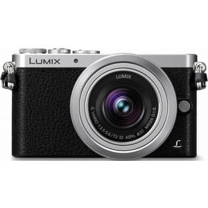 Panasonic GM1